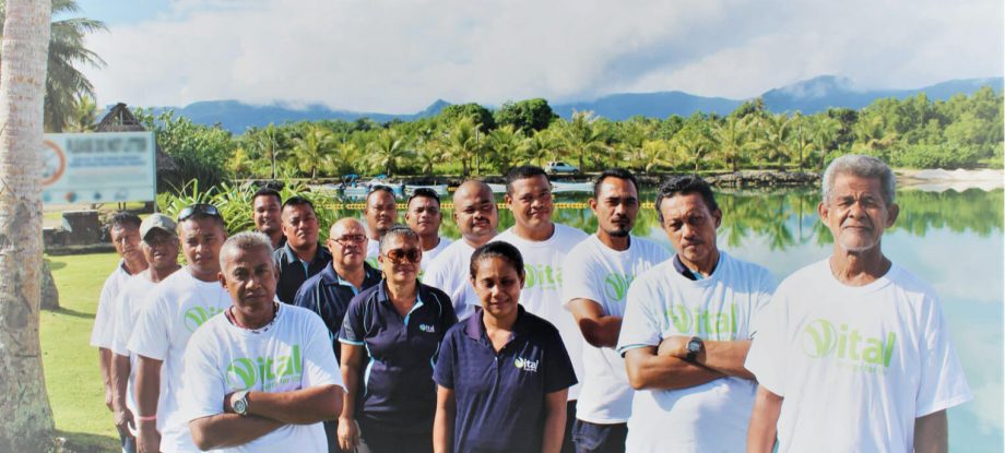 About Vital FSM Micronesia